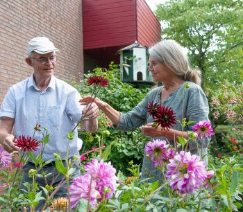 Vrijwilliger Ontmoetingscentrum Naaldwijk