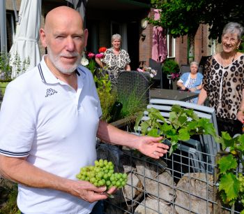 Groenactiviteit- vrijwilliger