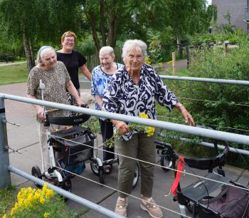 Wandelvrijwilliger